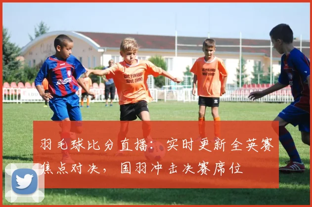 羽毛球比分直播：实时更新全英赛焦点对决，国羽冲击决赛席位