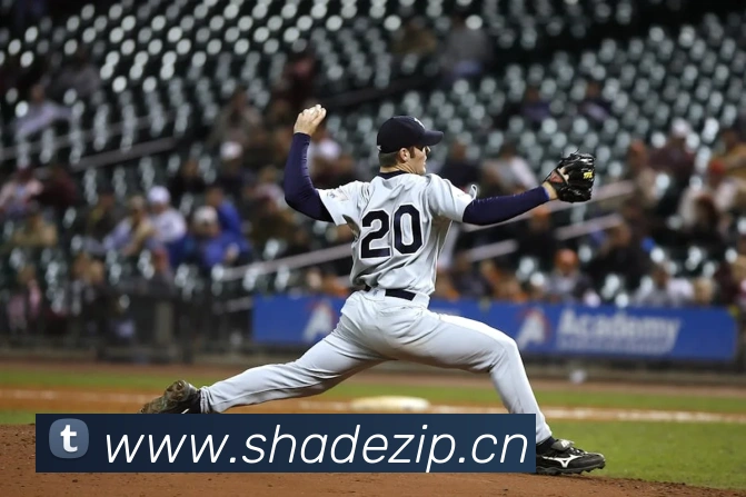 九游官网登录入口网页平台生态图